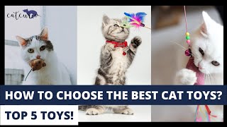 Best Cat Toys That You Must Get For Your Cat!!