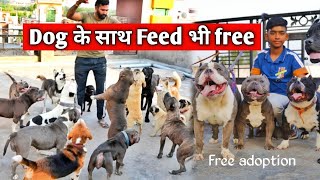 Cheapest Dog Market in India!