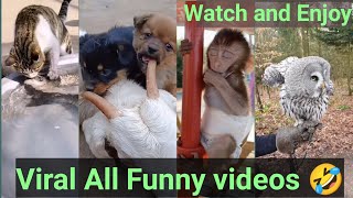 Viral funny videos watch and Enjoy.Animals funny videos #animals #animalsfunnyvideo #funnyvideo #fun