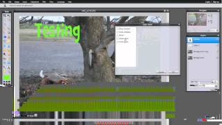 Pixlr Editor demo by Mr. Suter