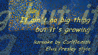 It ain't no big thing but it's groing - Elvis Presley repertoire - karaoke Carl Flemish