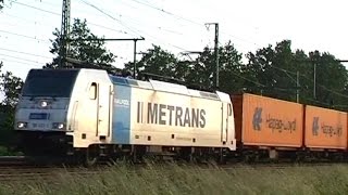 Metrans Container Zug