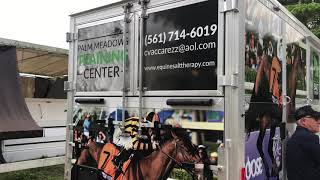 Equine Salt Therapy hits Florida