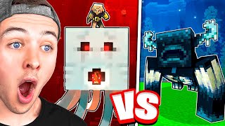 The BEST Minecraft MOB BATTLE! (Animation)