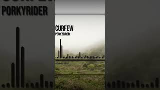 Porkyrider - Curfew