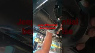 Jeep rear differential bearing noise