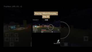 Placing 1 Block Everyday - Day 91