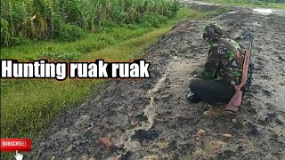 berburu ruak ruak terbaru