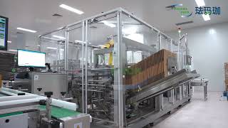 Maglev Multi-Stick Automatic Packing Machine