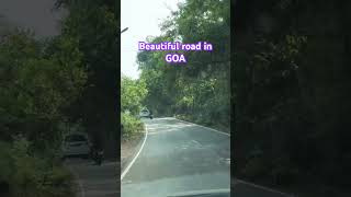 Beautiful road while traveling in Goa pebbles beach