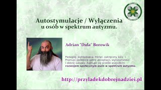 Autostymulacje / Wyłączenia u osób w spektrum autyzmu.