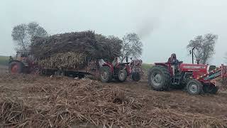 Tractor Massey 240 loaded suggested trolley help is back bumper rusi tractor