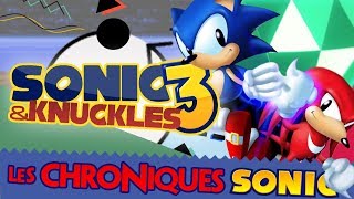 SONIC 3 & KNUCKLES (1994) - LES CHRONIQUES SAUNIQUES #26 - PuNkY