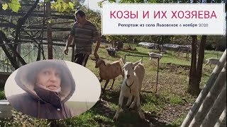 ❤️ Козы. Наше козоводство. Репортаж из села Львовское 6 ноября 2020 г.