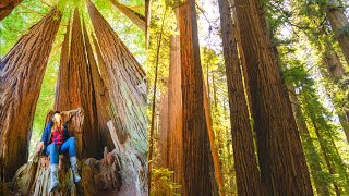 48 Hours in the LOST COAST of CALIFORNIA - Humboldt County