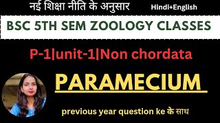 BSc 5th sem zoology classes|P1|unit-1|Diversity of nonchordata|paramecium#bsc5thsemester