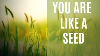 YOU'RE LIKE A SEED