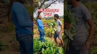 घास के लिए हुआ झगड़ा। हो गया झगड़ा #shorts #short #shortvlog #vlog #2023shorts Daily vlog