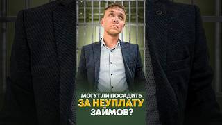 Могут ли посадить в тюрьму за неуплату микрозаймов.