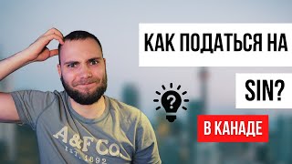 Что такое SIN? Как податься на SIN?