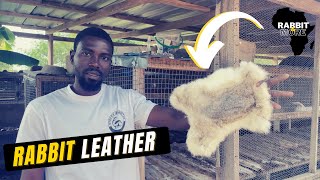 How to prepare your Rabbit Skin for extra income 🤑🤑🤑