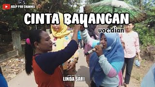 Lindasari CINTA BAYANGAN edisi baleraja