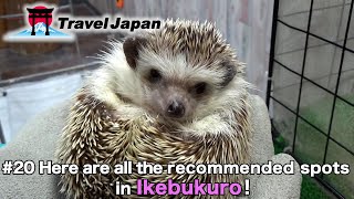 #20 Here are all the recommended spots in Ikebukuro!