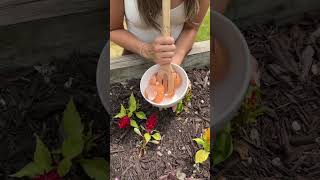 MUST TRY Eggshell Hack For Your Garden🤯