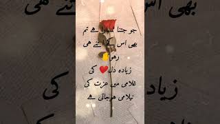 zaida dil ki gulami mn❤️#poetry#subscribe plz