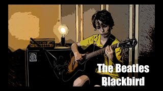 Wojtek Jacyna | The Beatles - Blackbird| Dave Wave Studio | Koncert Wakacyjny