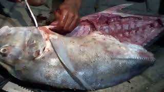 Ketrampilan Memotong, Cutting Fishing, Mayangan Fishing Week part 17