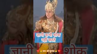 ज्ञानी कभी शोक नहीं करते | geeta gyan | krishna | shree Krishna lila #shortsvideo #geetakagyan