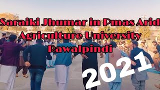 Saraiki jhumar in Pmas Arid Agriculture University Rawalpindi