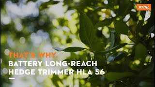 That's Why. STIHL Battery Long-reach Hedge Trimmer HLA 56