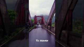 To Heaven #travel #nature #munnar