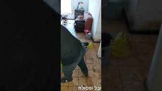 פינוי דירה מזוהמת של קשיש ניקיון והכנה למגורים ראויים