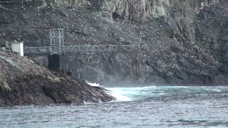 Muelle elevado en el Santuario de Flora y Fauna Isla Malpelo, Colonia de Sula granti