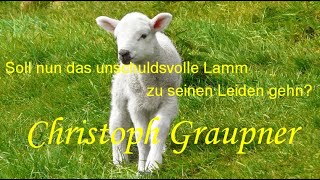 Christoph Graupner   Cantata  Soll nun das unschuldsvolle Lamm zu seinen Leiden gehn?   GWV 1119/13