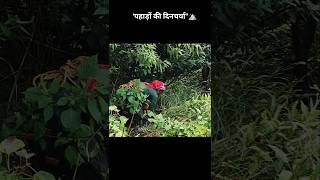 पहाड़ी दिनचर्या 🥰🌿⛰️|| #youtubeshorts #shorts #minivlog || Anuj Pahadi