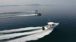 Buccaneer Exess 685 HT Ft Mercury 250hp