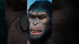 Monyet Ngamuk   🦍   Rise of the Planet of the Apes (2011)