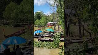 🇹🇭  ชักพระสุราษฎร์ธานี 2567 SURAT THANI CHAK PHRA FESTIVAL,LONG BOAT RACES - THAILAND