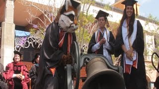 Ozzie rings the UTB Commencement bell with gusto