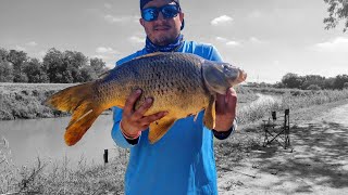 Rgv Carp fishing