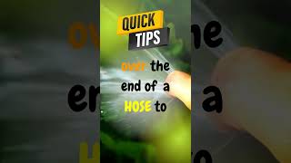 FREE Gardening Hacks and QUICK TIPS #5 🌱#shorts ​