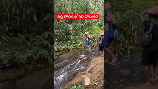 Sabarimala Peddapadam river crossing | Batasari travel tales | Telugu traveller