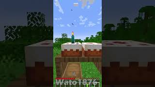 Do you remember these minecraft features?