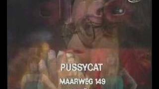 Pussycat - My Broken Souvenirs