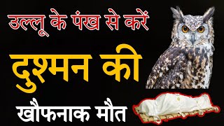 उल्लू के पंख से करें दुश्मन की खौफनाक मौत ! Dushman ko khatm karne ka totka #astrology