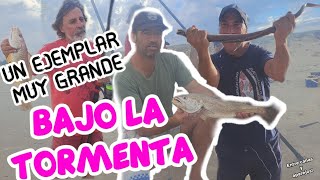 TREMENDO EJEMPLAR SALIO😱🐟, mas otras de lindo porte en las Toscas//🇺🇾// @entrecanasyaparejos2396